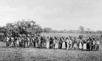 maioria-de-empresarios-que-apoiou-ditadura-vem-de-familias-escravistas