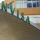 anvisa-libera-registro-de-remedios-para-tratar-psoriase-e-asma