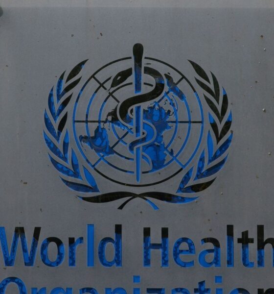 hantavirus:-oms-confirma-oito-casos-de-cepa-que-causou-surto-em-navio