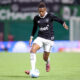 botafogo-x-corinthians:-veja-onde-assistir-e-horario-do-jogo-do-brasileirao