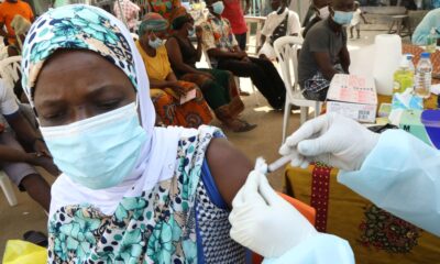 vacina-contra-cepa-do-ebola-na-africa-pode-demorar-ate-9-meses