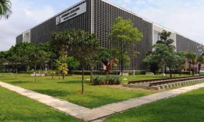 mais-de-70-mulheres-tiveram-mandatos-cassados-em-10-anos-no-pais