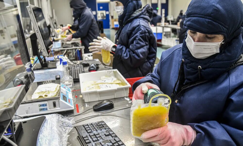 projeto-dispensa-licitacao-para-medicamentos-produzidos-pela-hemobras
