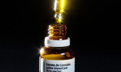 maioria-dos-pacientes-que-importa-remedios-canabicos-faz-musculacao